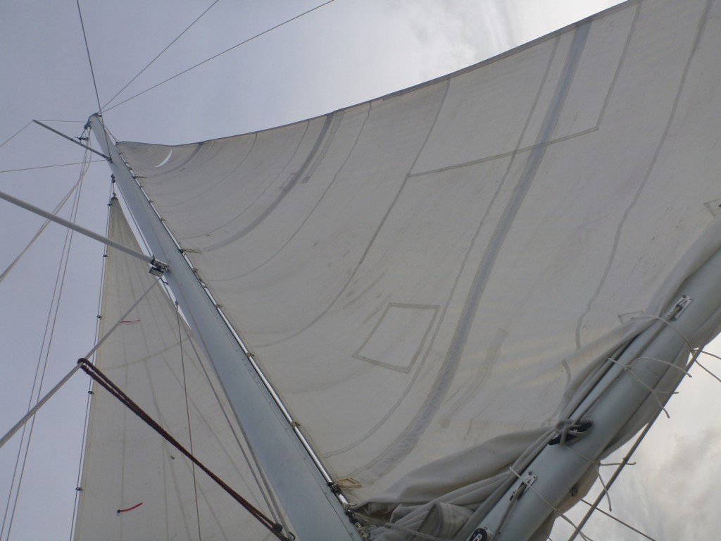 P1140115