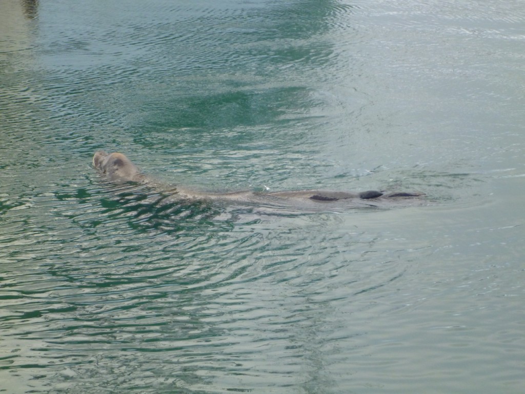 P1140142